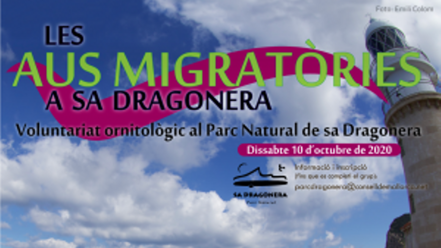 Les aus migratories a Sa Dragonera