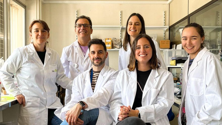 La UMU detecta que un fármaco para la hipertensión podría mejorar el tratamiento de una anemia rara infantil