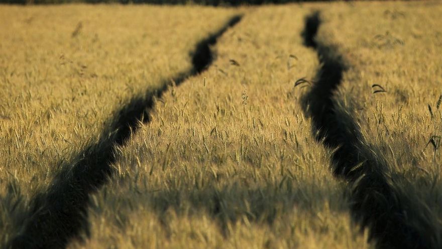 L&#039;agricultura pot reduir fàcilment un 7% les emissions de gasos amb efecte d&#039;hivernacle