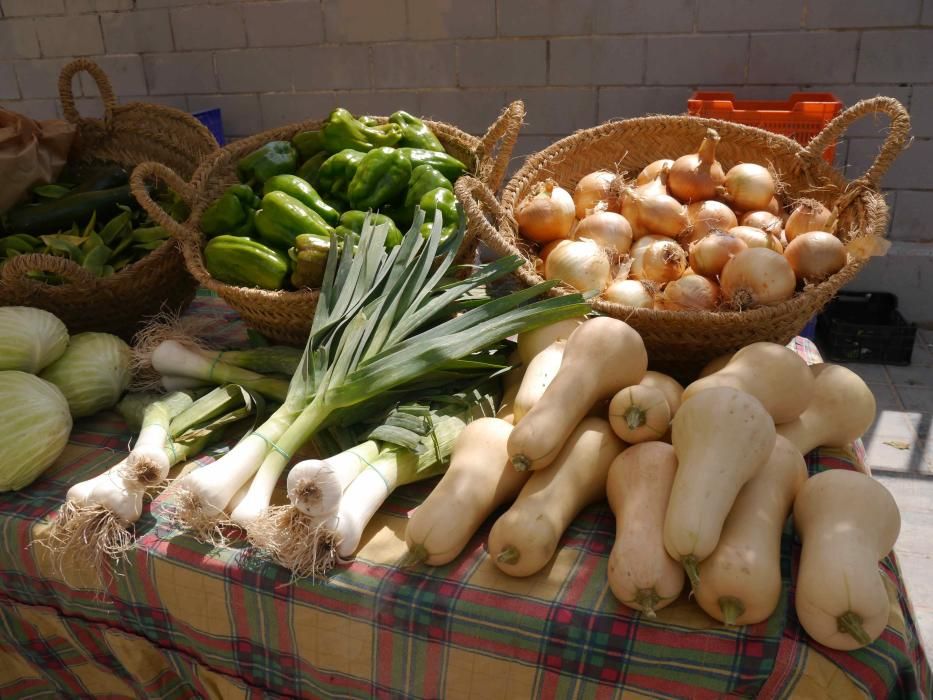 Orgullo de lucha por la huerta del sur