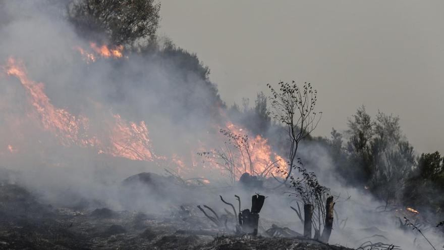 Identifican a un octogenario de Oviedo como presunto autor de un incendio en León