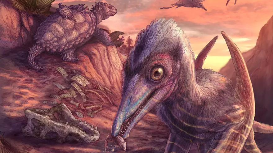 Hallado un pterosaurio en Arizona, el reptil alado más antiguo conocido en Norteamérica