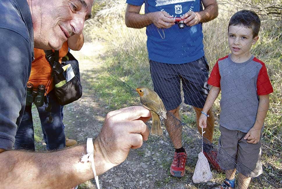 La fiesta otoñal de los pájaros