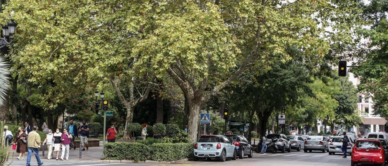 La avenida de España. Tramo donde se quiere actuar, entre la Fuente Luminosa y la calle San Antón.