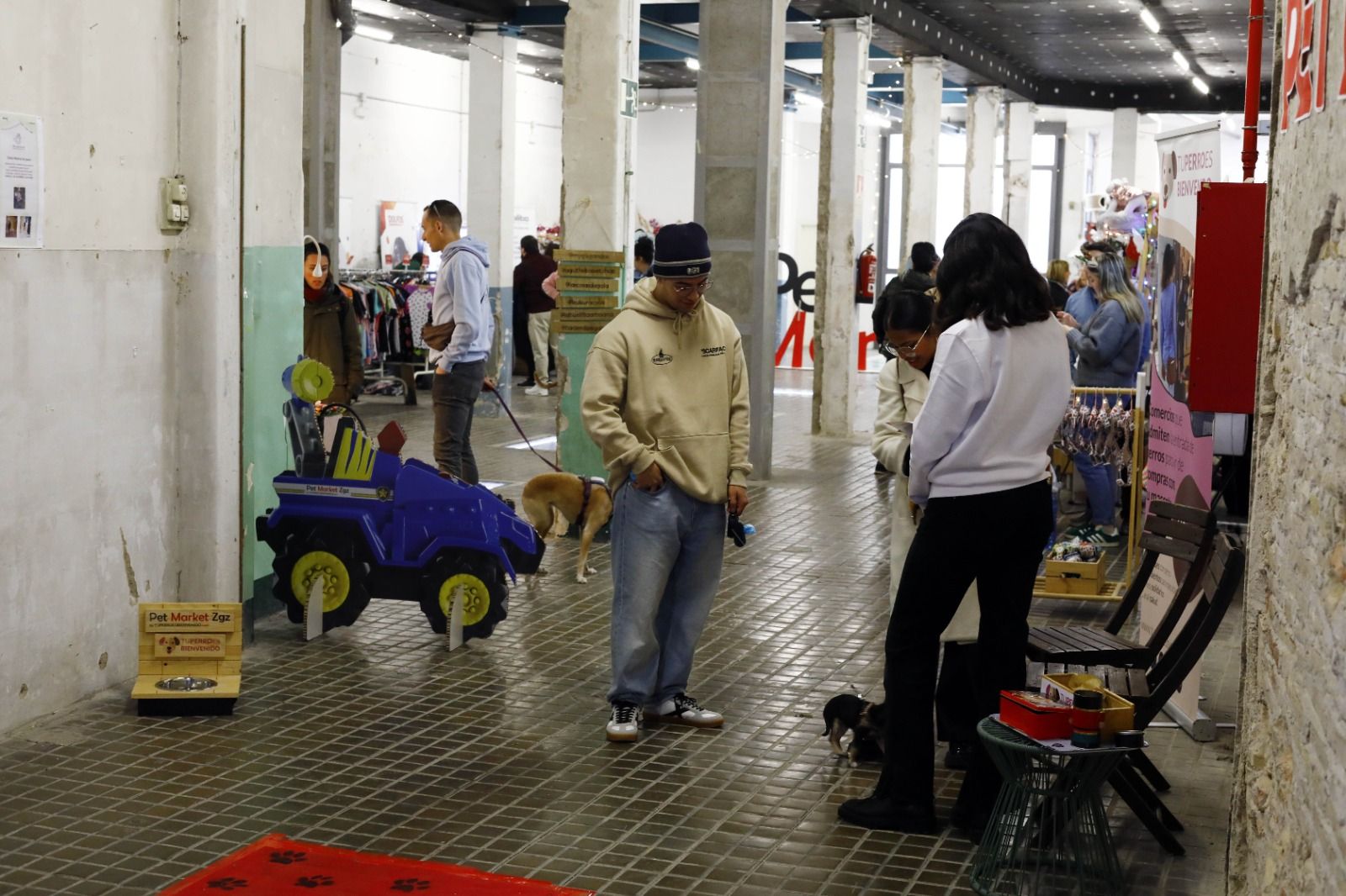 El mercado de mascotas de Zaragoza, en imágenes