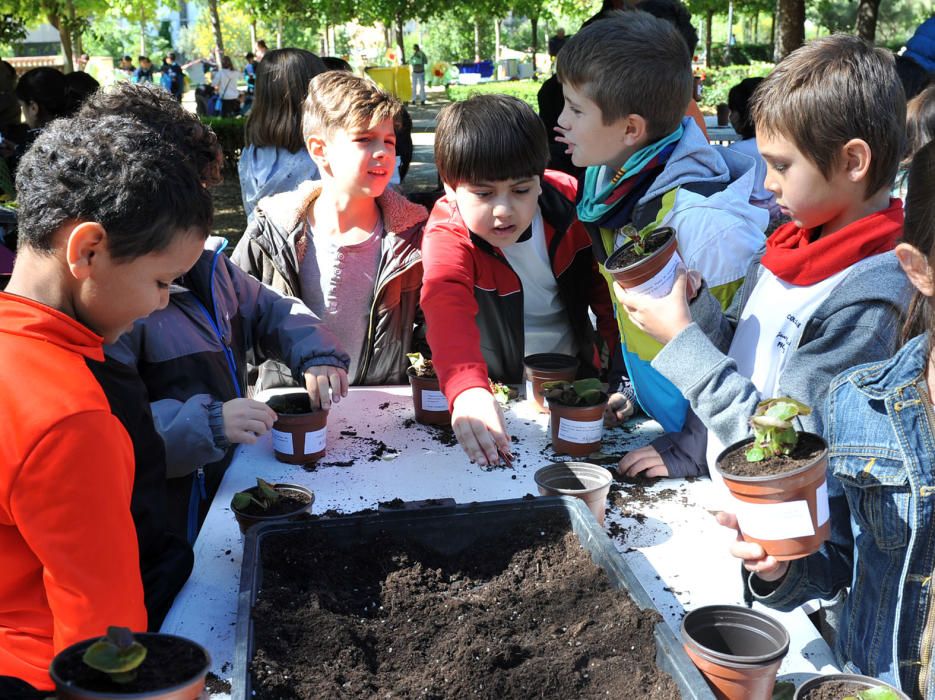 Festa de l''Arbre de Figueres