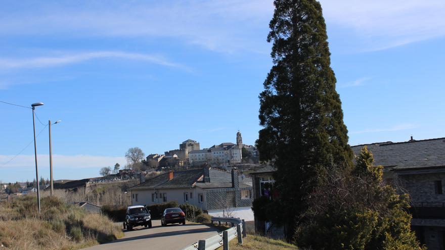 La secuoya que siembra la discordia en un pueblo de Zamora