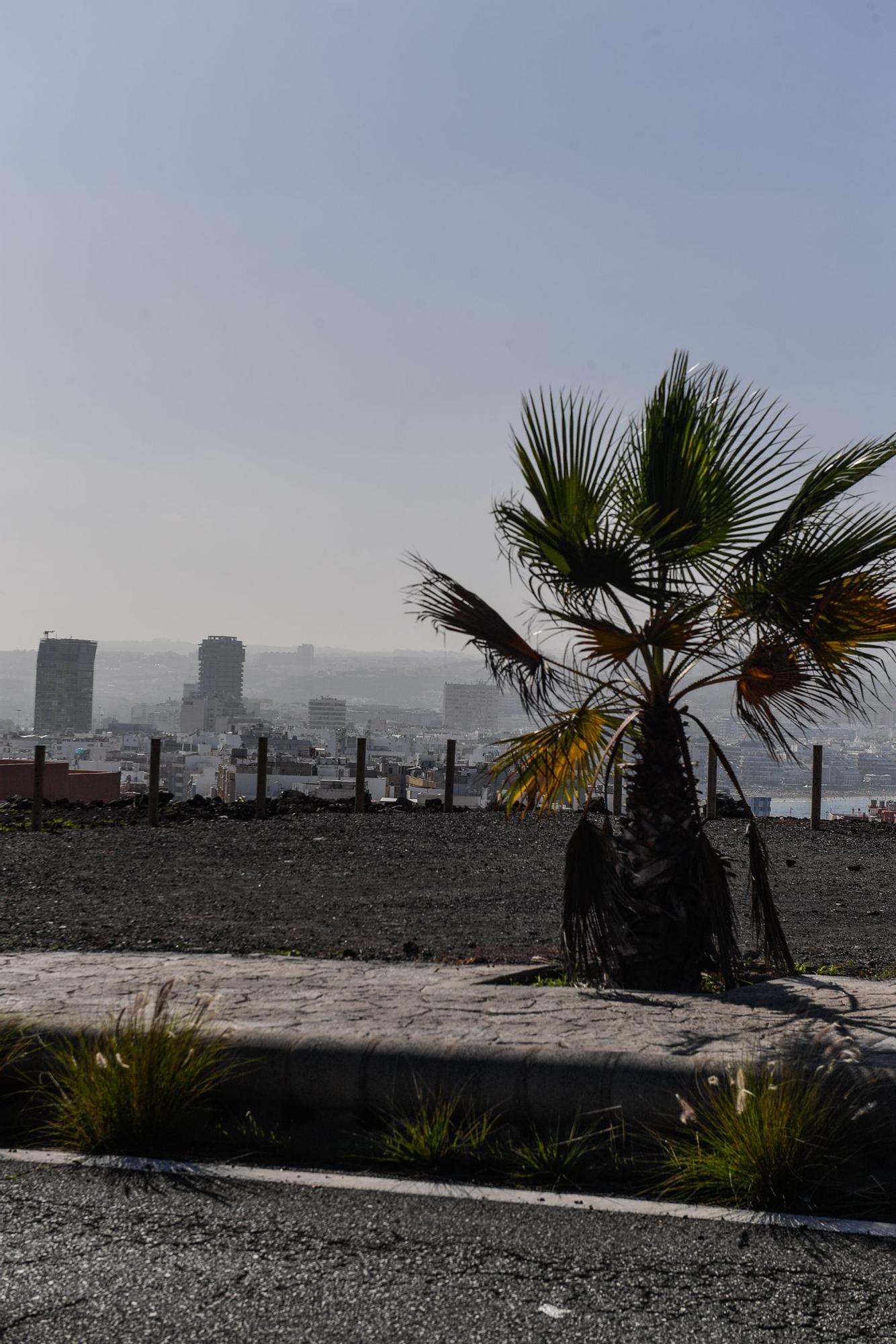 Calima en Las Palmas de Gran Canaria (29/12/2021)