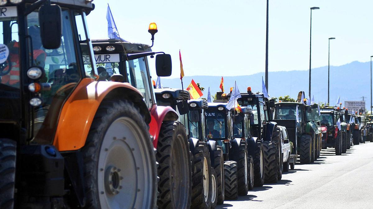 150 coches partieron desde el Huerto de la Rueda (Lorca) hasta la fachada del Ayuntamiento, donde se concentraron unas cien personas  | PILAR WALS