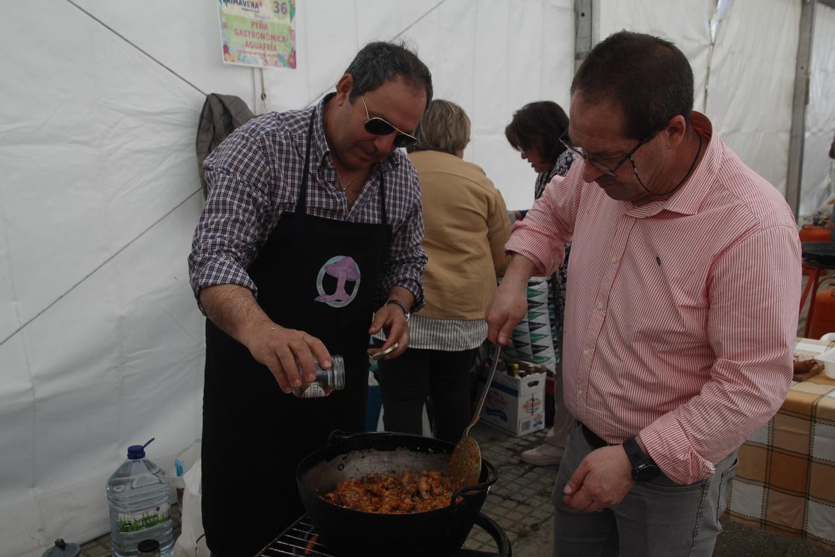 X FIESTA DE LA PRIMAVERA DE MONESTERIO/FIESTA DE LA PRIMAVERA 2026 (70)