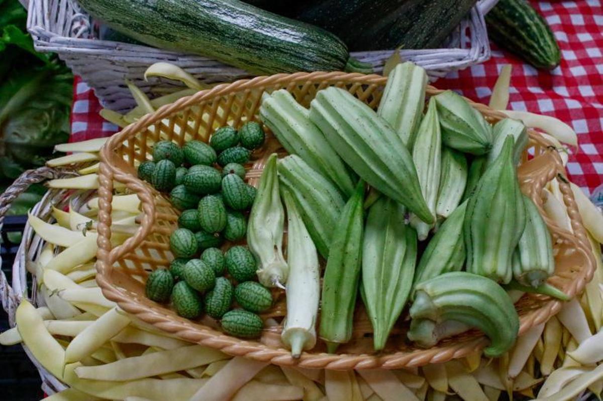 Pepinos mexicanos y ökra, considerado un “superalimento”. | // IÑAKI ABELLA