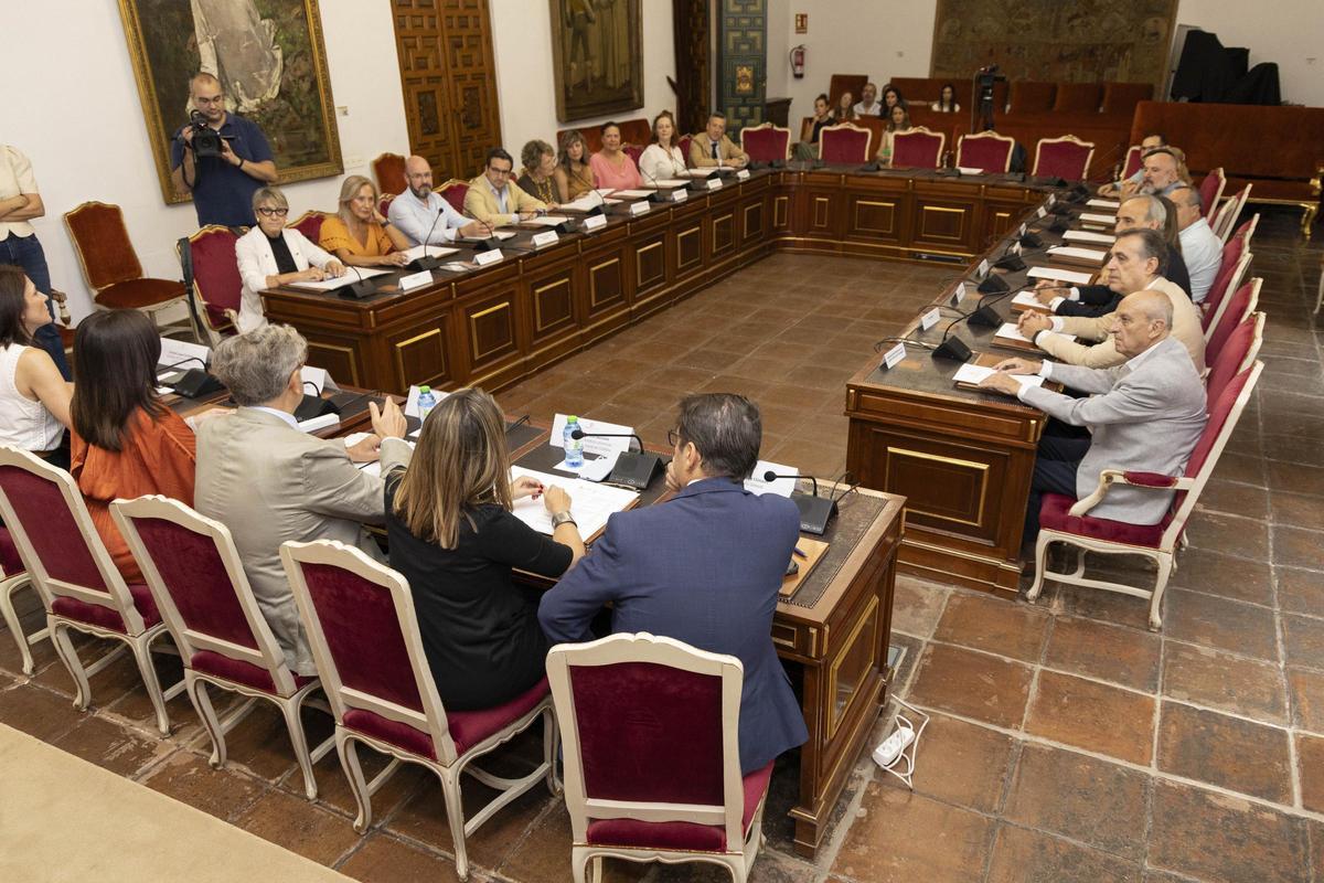 Sesión de aprobación de ayudas a entidades sociales de Córdoba y provincia.