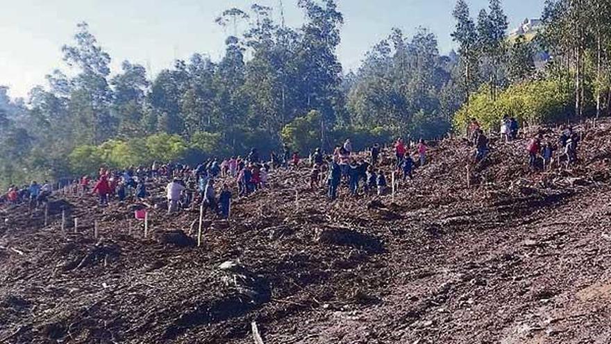 Escolares en plena tarea, en el monte Trega. // C.M. Camposancos