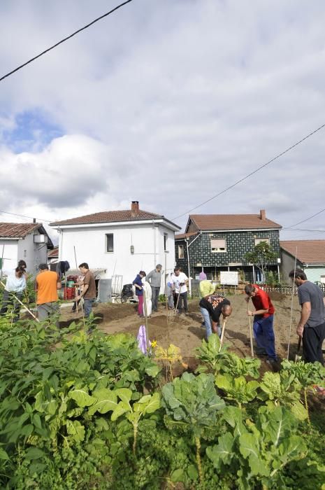 Curso de agricultura ecológica en Langreo