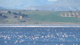 La laguna natural más grande de toda Andalucía tiene un tesoro escondido a plena vista