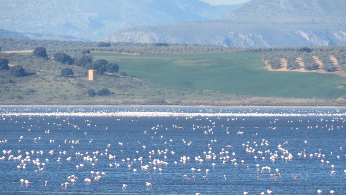 La laguna natural más grande de toda Andalucía tiene una belleza única