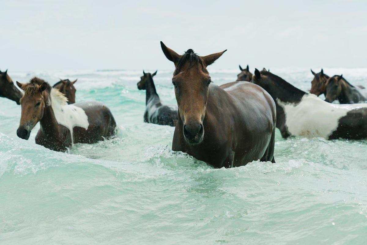 Sumba, Indonesia