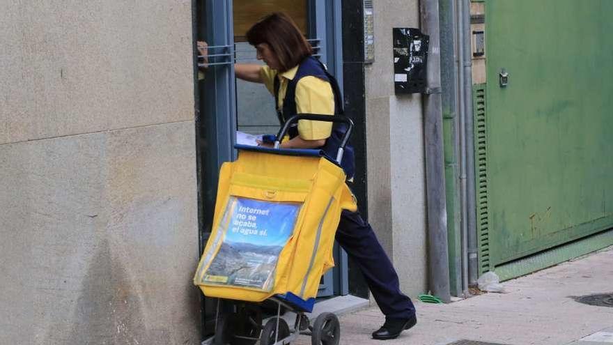 Una cartera realiza el servicio de reparto en una calle zamorana.