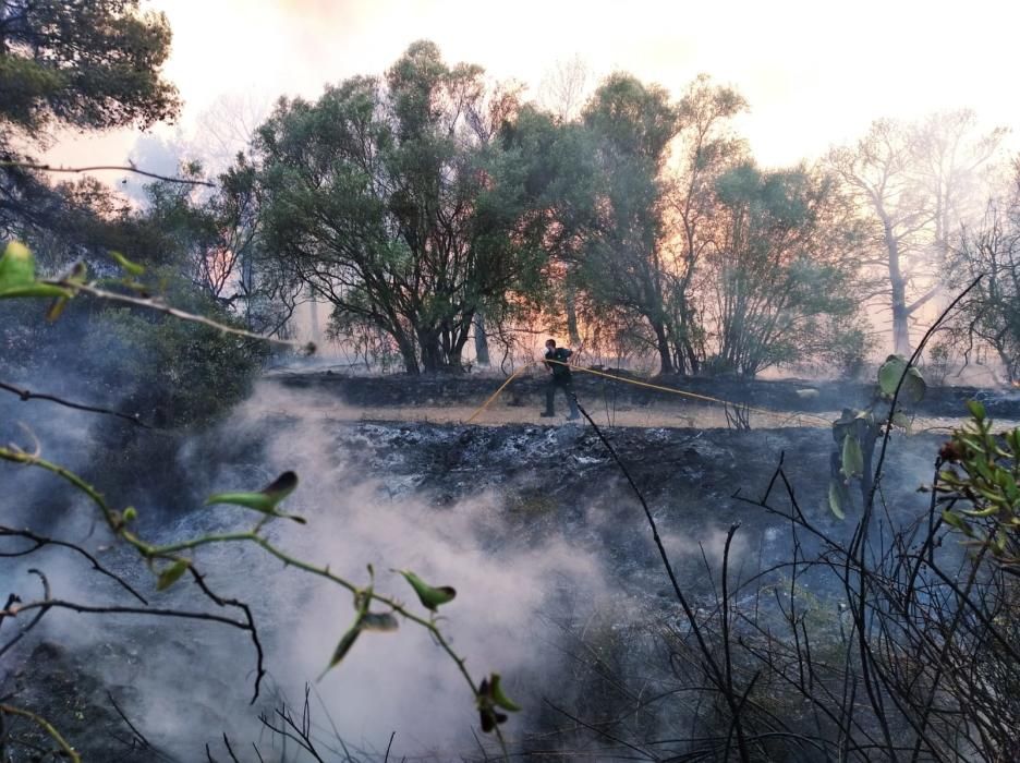 Incendio en la Vall del Montgó de Xàbia