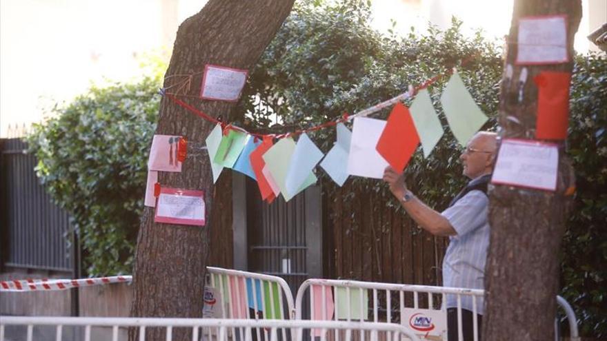 Indignación vecinal por la tala de 6 pinos en la calle Bruno Solano