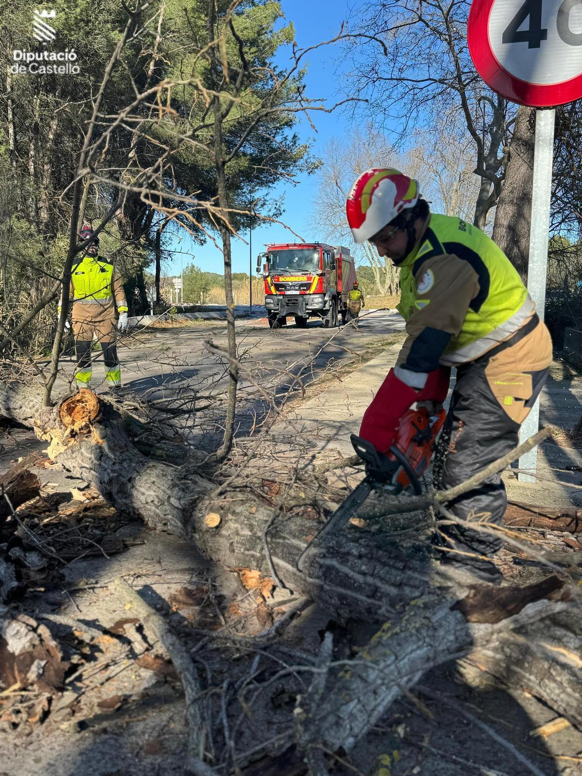 Reitrada de un árbol por parte de los bomberos. Reitrada de un árbol por parte de los bomberos.