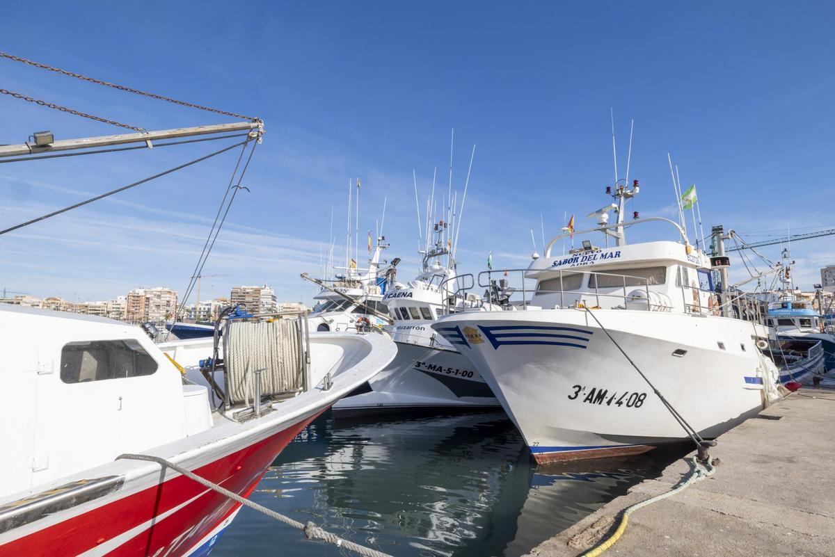 Barcos de cerco atracados en lo que queda de la zona pesquera del puerto de Torrevieja Barcos de cerco atracados en lo que queda de la zona pesquera del puerto de Torrevieja