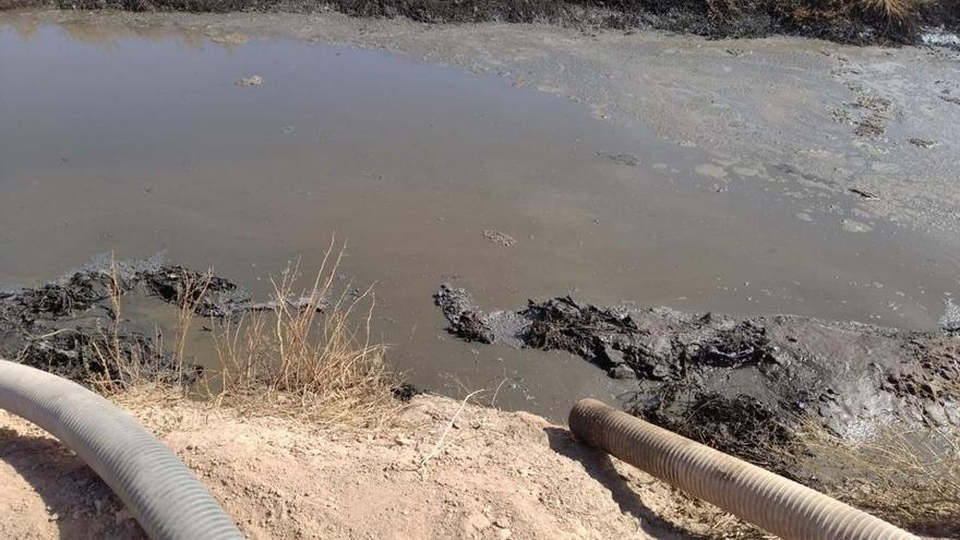 Vecinos de Casas Nuevas denuncian malos olores procedentes de una finca agrícola