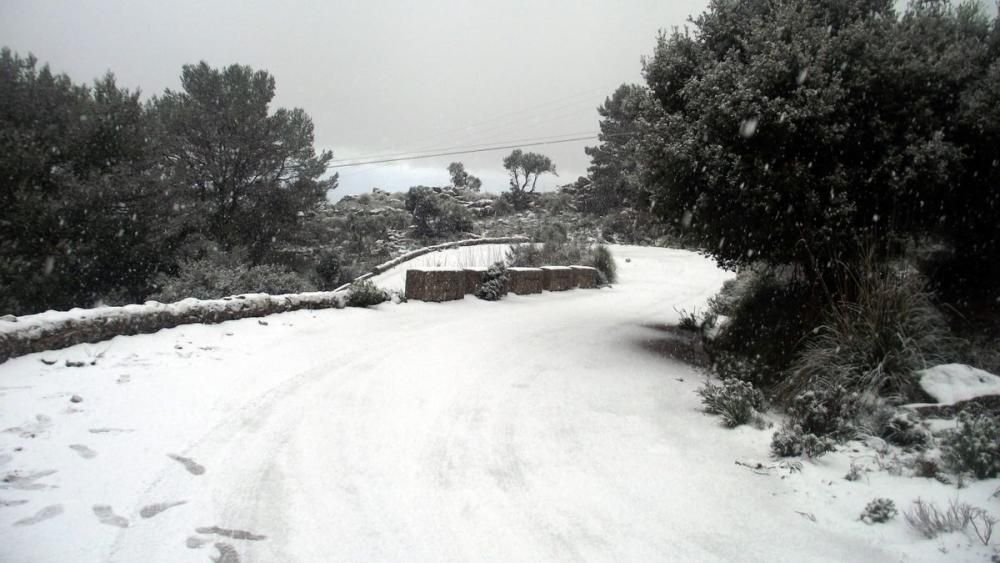 Schneefall auf Mallorca - Verkehrschaos in den Bergen