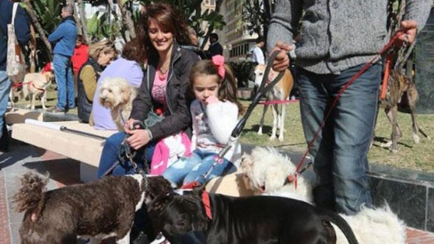 Varios perros en un eventos reciente en la plaza de La Marina