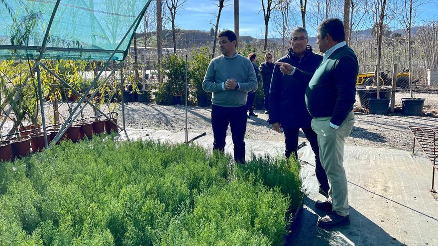 Plantarán 42.000 árboles y arbustos en el entorno del pantano La Viñuela