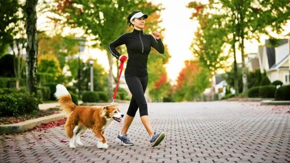 COMO ADELGAZAR CAMINANDO: Expertos de Harvard desvela la clave definitiva  para adelgazar rápido: el momento del día para salir a caminar