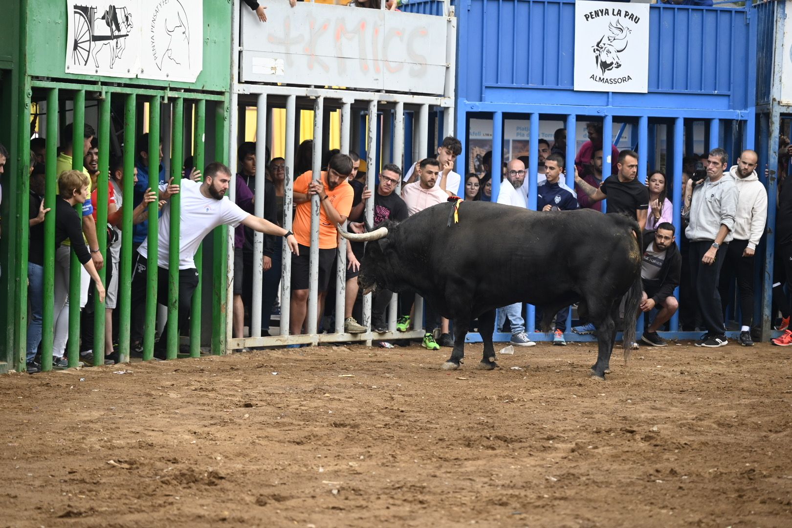 Galería | Las imágenes de la penúltima tarde de toros de las fiestas de Almassora