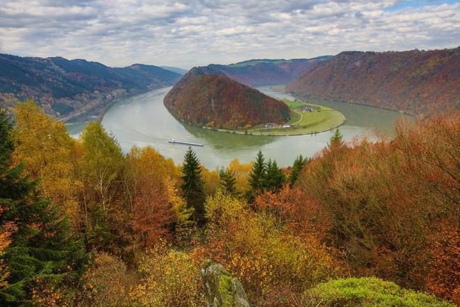 Schlögener Schl﻿inge, Danubio