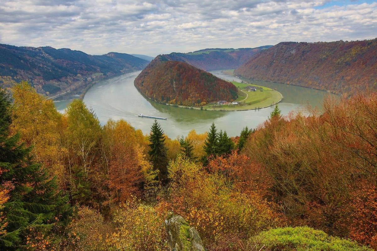 Schlögener Schlinge, Danubio