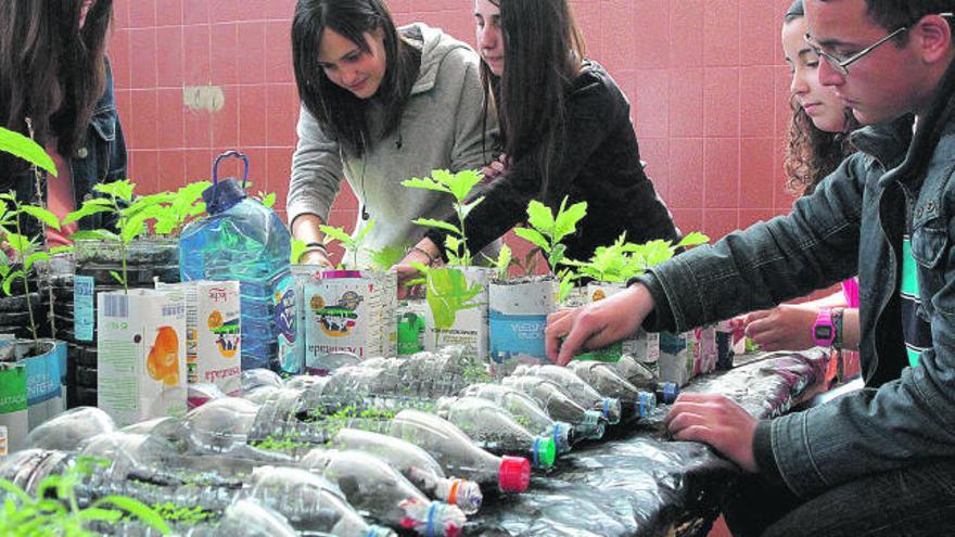 Los estudiantes atienden las plantas del vivero del instituto.