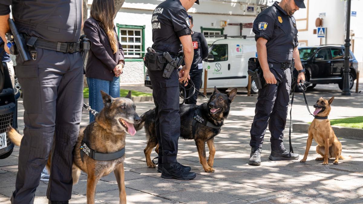 Presentación de los nuevos agentes caninos de la Policía Local de Arona