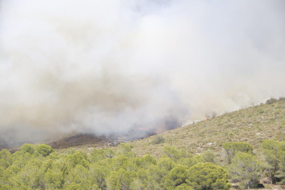 Incendio forestal en Llutxent