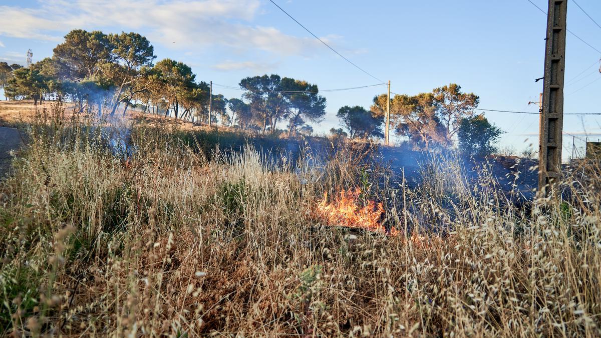 Último incendio de relevancia en la zona urbana de Cáceres, el 1 de junio, que afectó seriamente al Cerro de los Pinos.