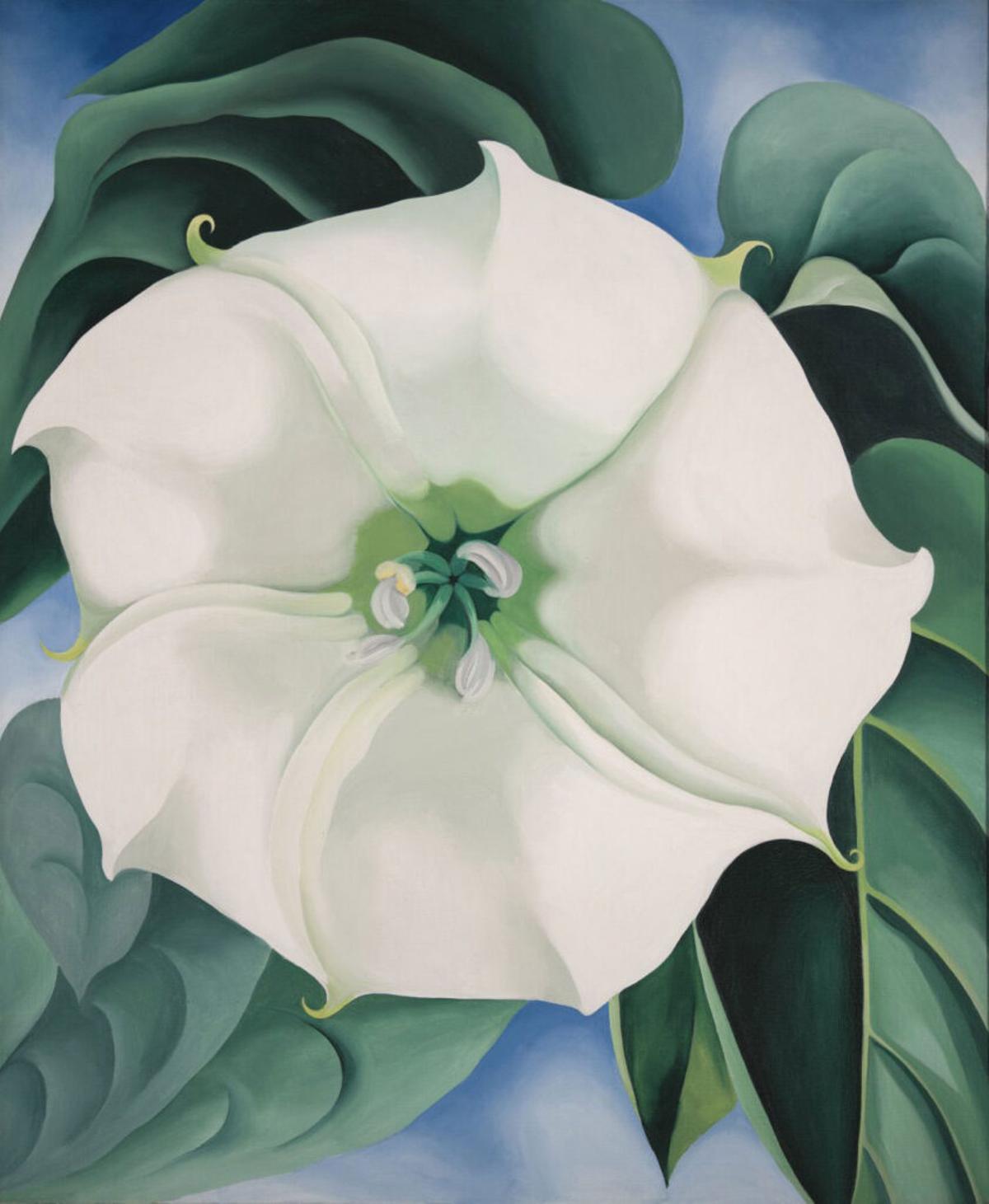 'Flor Blanca', de Georgia O'Keeffe.