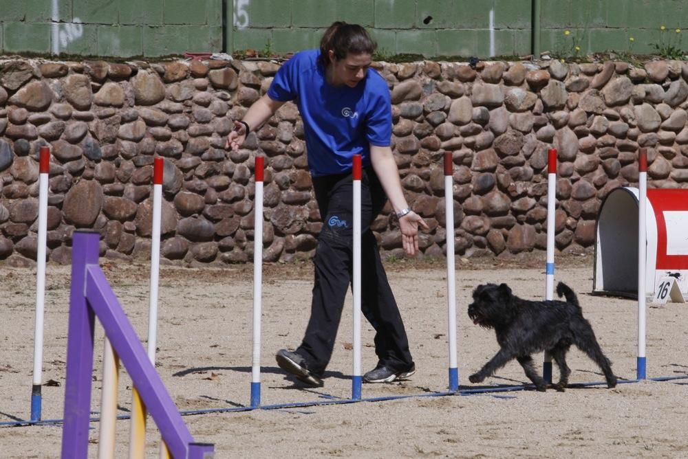 I Marxa Solidària Canina de Diari de Girona