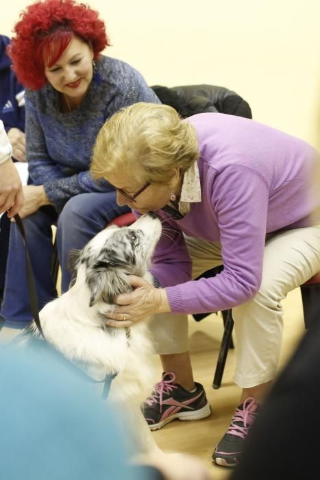 Taller de terapia con perros en el centro de mayores de Las Meanas, Avilés