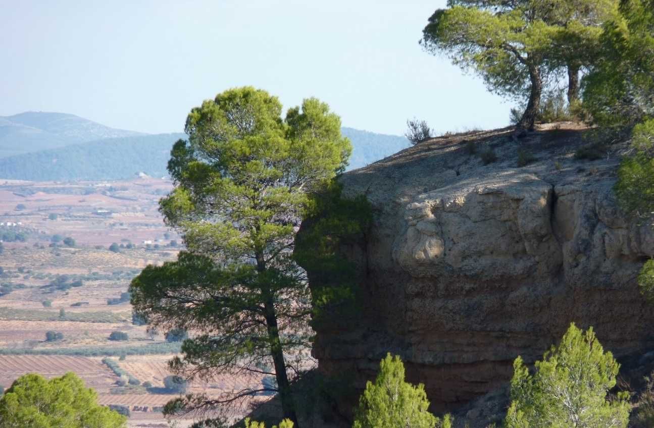 Muela de Arriba, en Requena