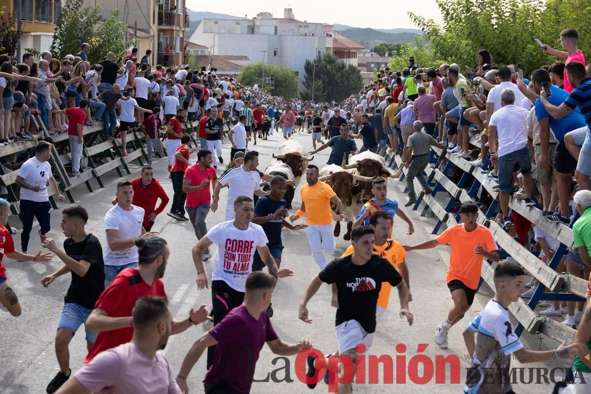 Primer encierro de la Feria del Arroz de Calasparra