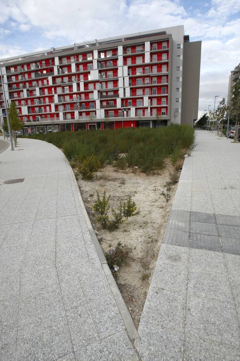 Fotogalería: Abandono de zonas verdes en Parque Venecia