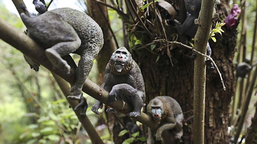 Corias de Pravia esconde un bosque mágico de personajes pop