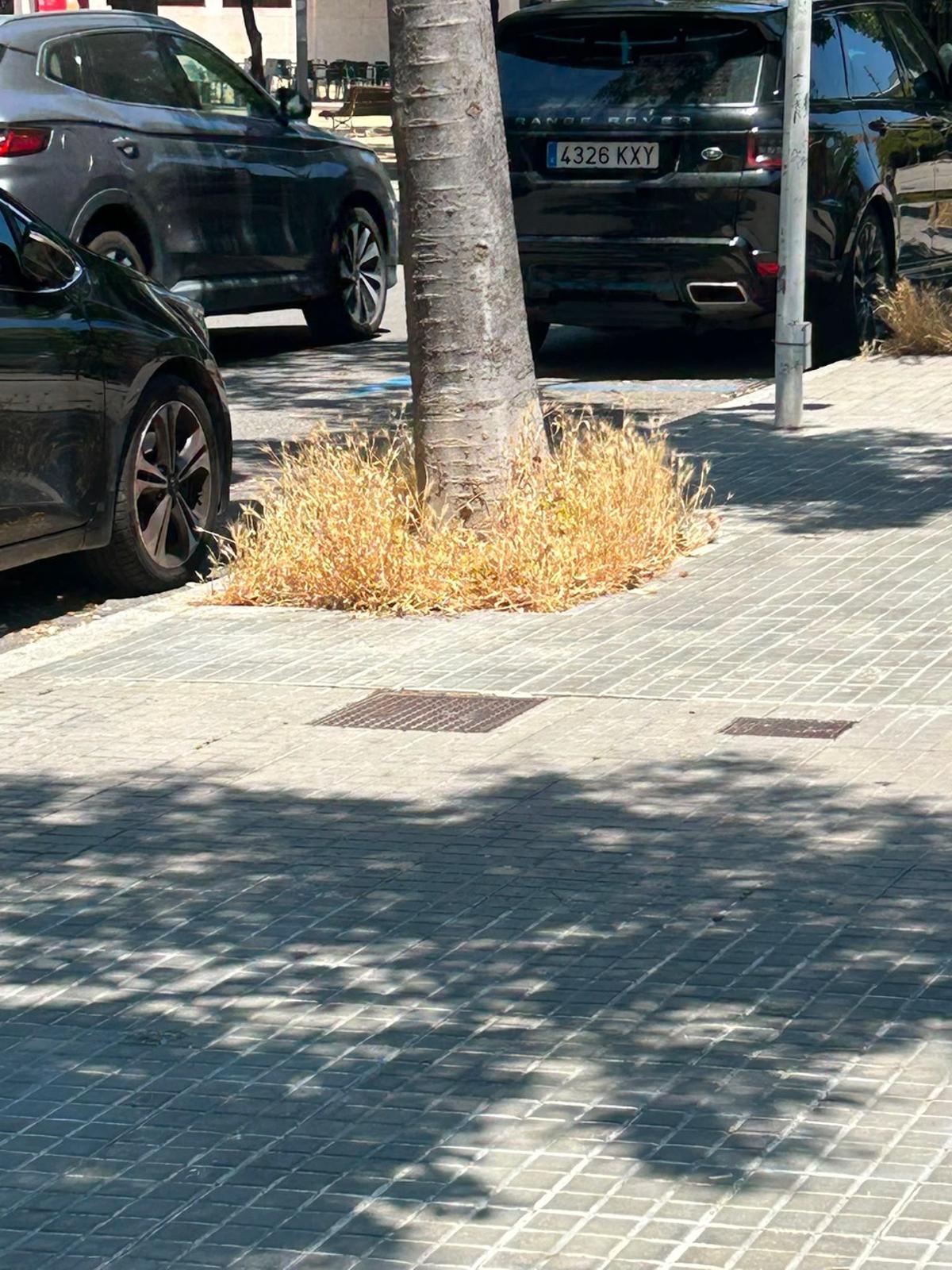 Junts diu que es deixen acumular herbes seques durant setmanes o mesos
