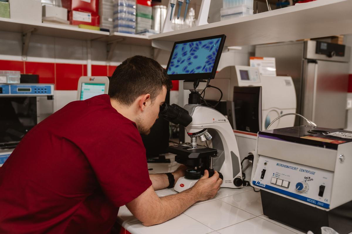 19.02.2026. MADRID. Imágenes de las instalaciones de GREFA (Grupo de Rehabilitación de la Fauna Autóctona y su Hábitat), una organización no gubernamental sin ánimo de lucro, que nace en 1981 como asociación para el estudio y conservación de la naturaleza. Foto: Alba Vigaray