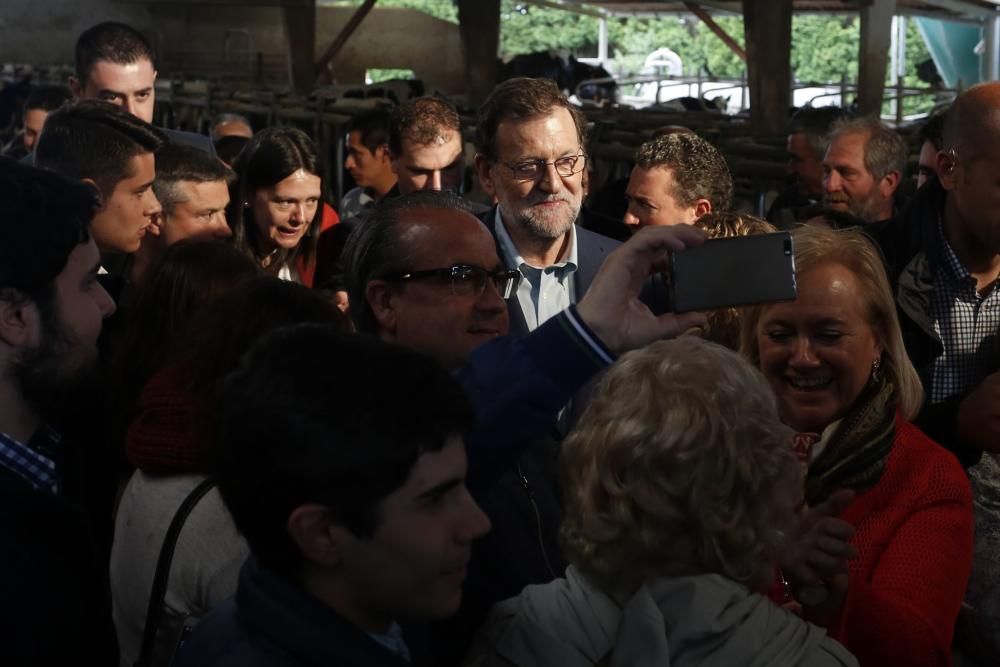 Visita de Mariano Rajoy a una ganadería en Gozón (Asturias)