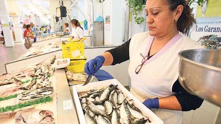 &quot;Las vendí en un santiamén&quot; - Las vendedoras de la plaza de O Berbés se expresaban ayer entre la satisfacción por el precio de venta de la sardina –algún cliente pagó hasta 220 euros por una caja de 15 kilos– y el lamento por la escasa cantidad que pudieron ofertar. Y es que al mediodía, quien quisiera comprar un kilo de la popular especie en este recinto salía con las manos vacías. &quot;Ni un kilo ni tan siquiera un ejemplar&quot;, recalcaban admiradas desde los puestos.