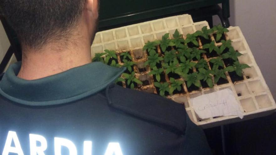 Marihuana incautada durante un control de coches en Cambados. // GC